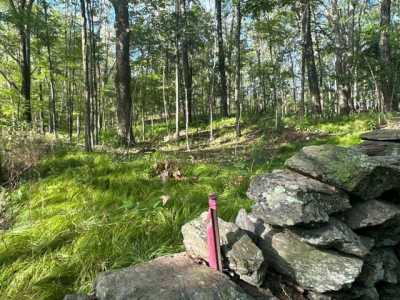 Residential Land For Sale in Pleasant Valley, New York