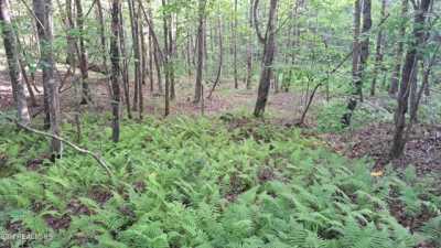 Residential Land For Sale in Rockwood, Tennessee