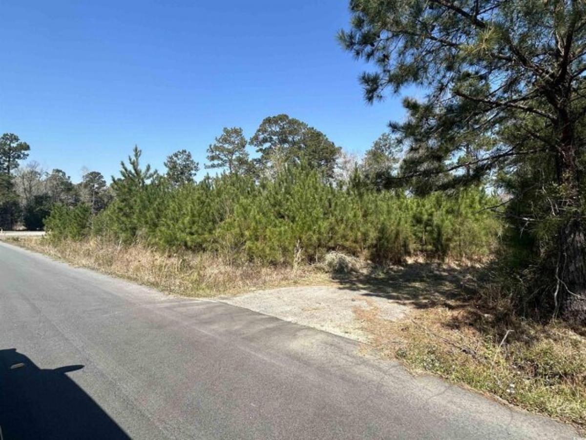 Picture of Residential Land For Sale in Georgetown, South Carolina, United States