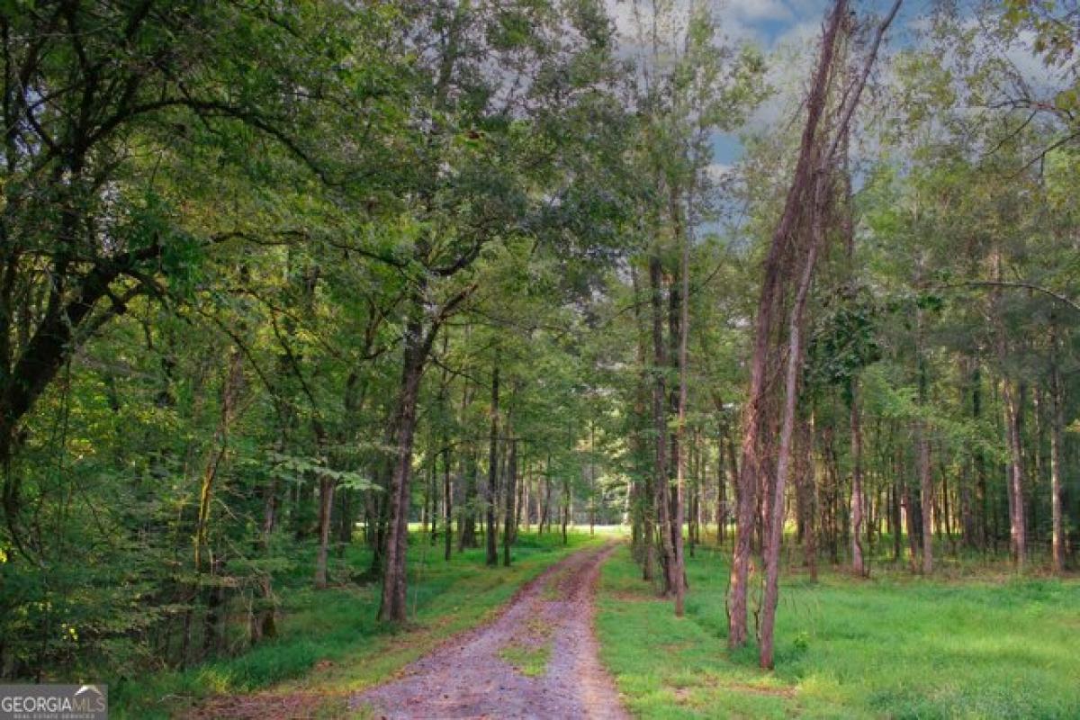 Picture of Residential Land For Sale in Cave Spring, Georgia, United States