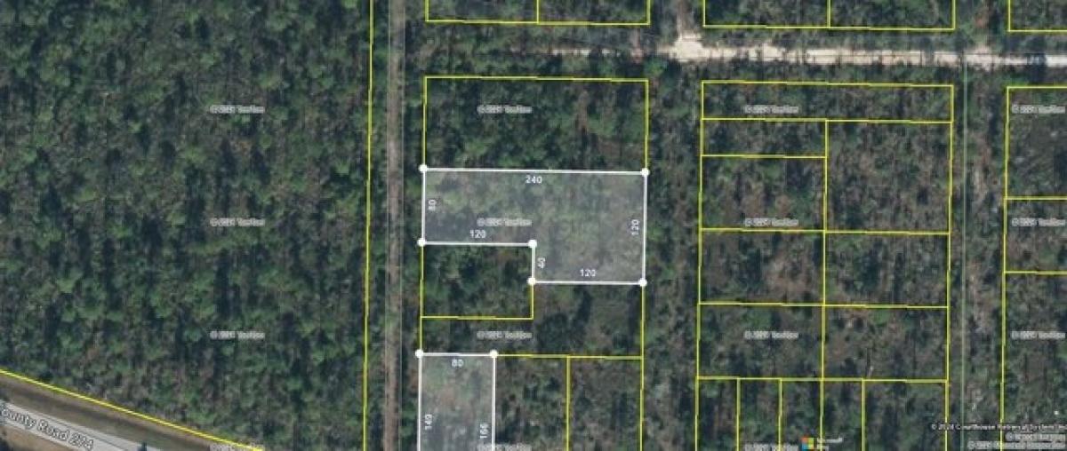 Picture of Residential Land For Sale in Altha, Florida, United States