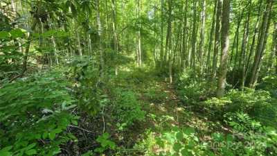 Residential Land For Sale in Sylva, North Carolina