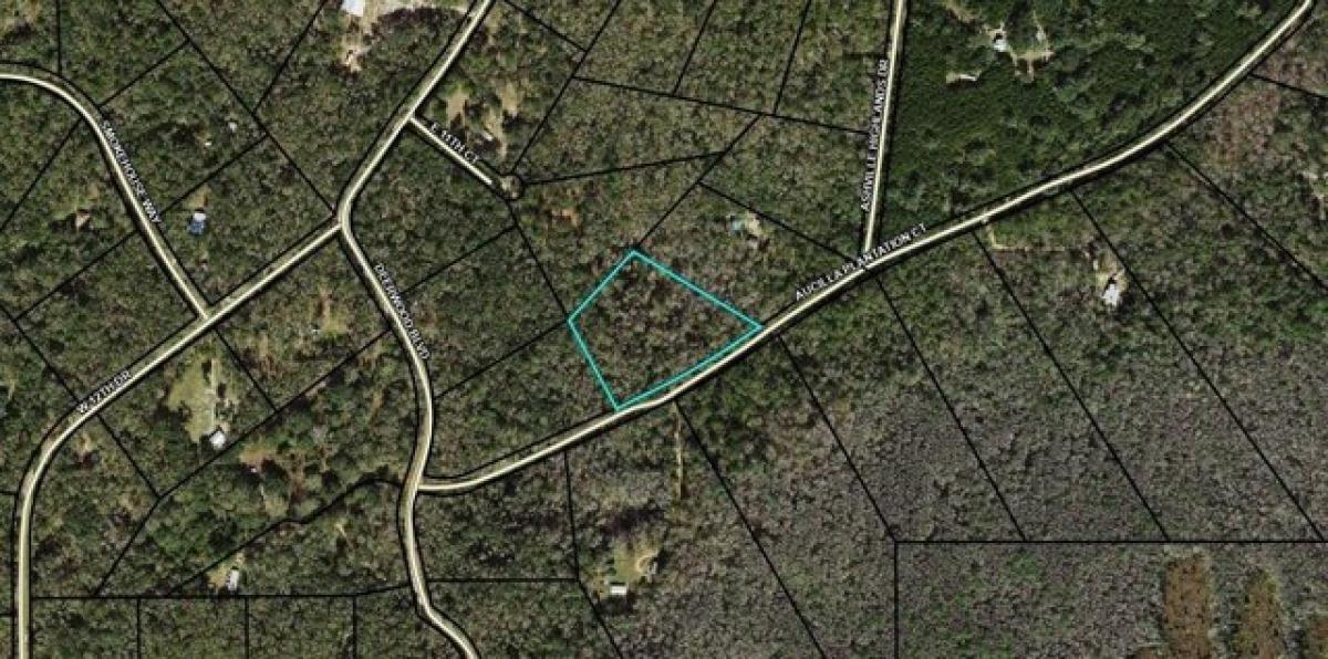 Picture of Residential Land For Sale in Greenville, Florida, United States