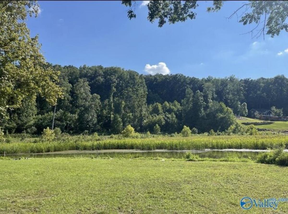 Picture of Residential Land For Sale in Guntersville, Alabama, United States