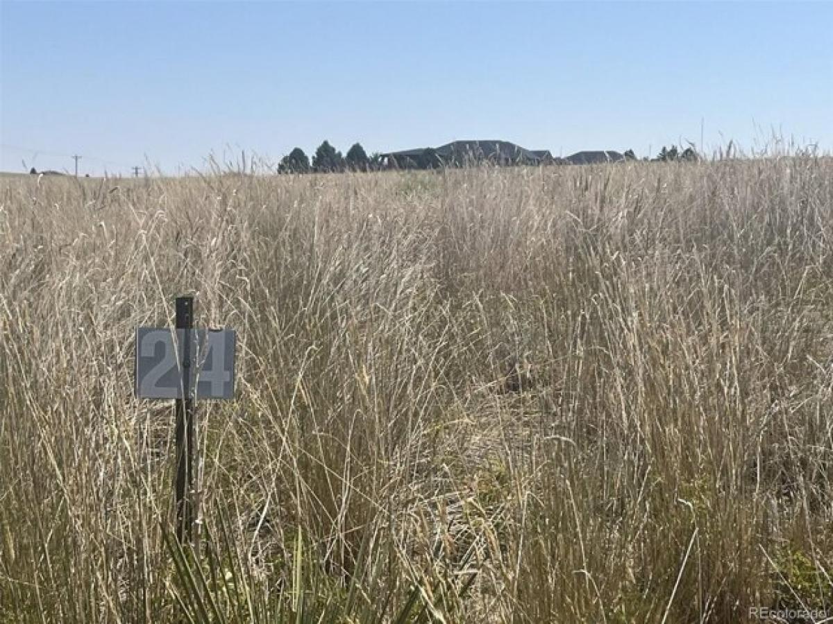 Picture of Residential Land For Sale in Parker, Colorado, United States