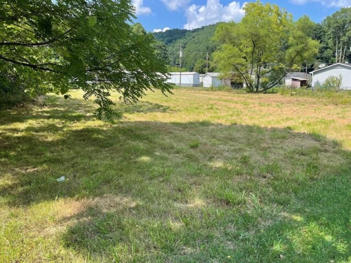 Picture of Residential Land For Sale in Raven, Virginia, United States