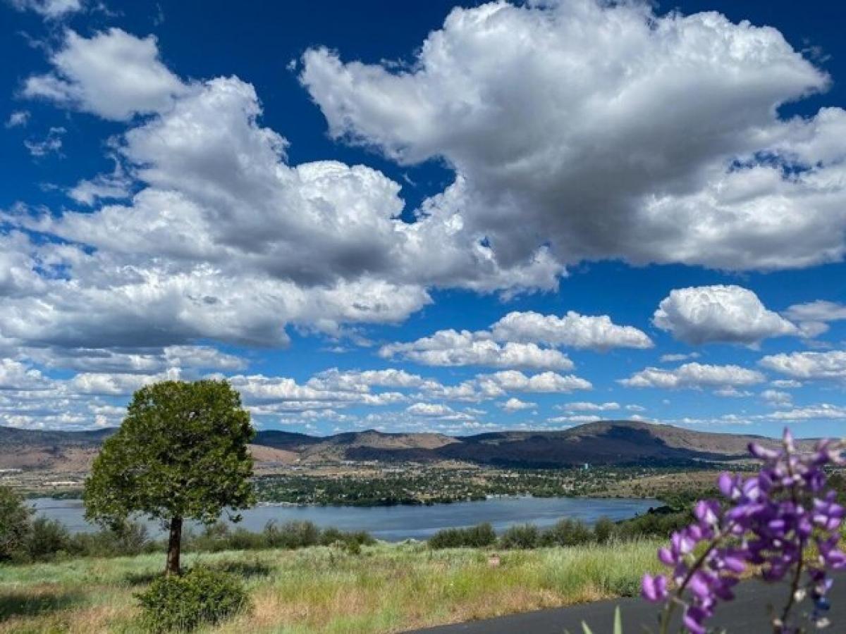 Picture of Residential Land For Sale in Klamath Falls, Oregon, United States