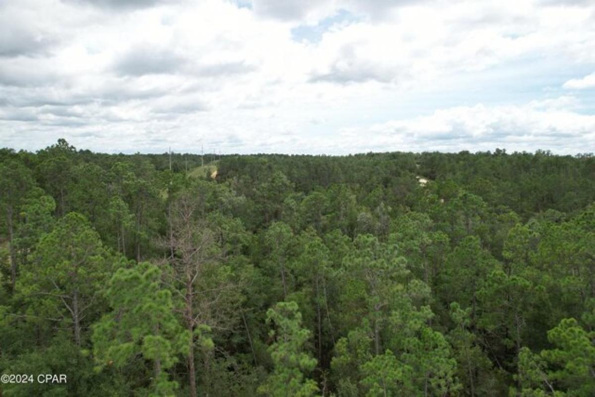 Picture of Residential Land For Rent in Alford, Florida, United States