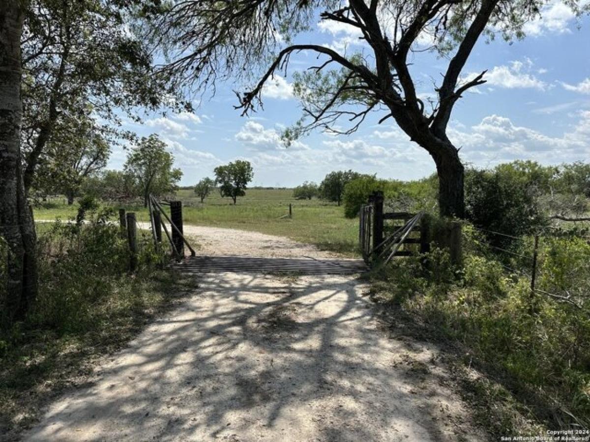 Picture of Residential Land For Sale in Kenedy, Texas, United States