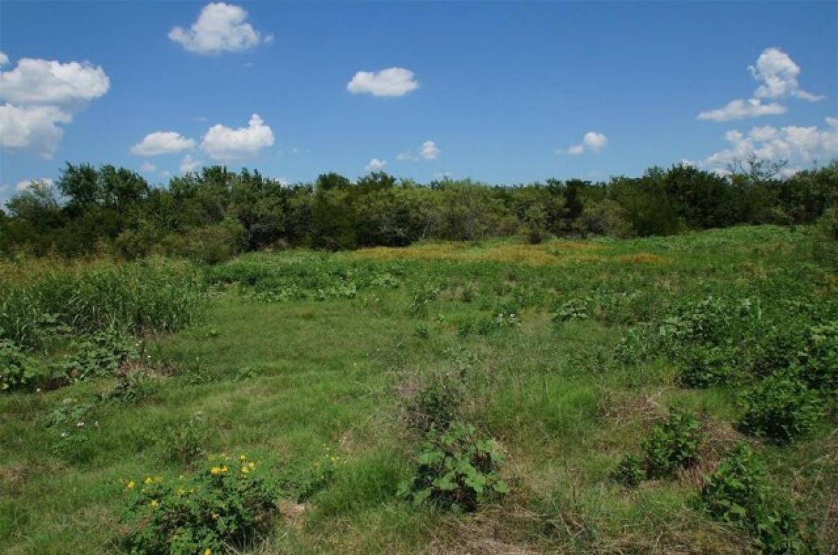 Picture of Residential Land For Sale in Crandall, Texas, United States