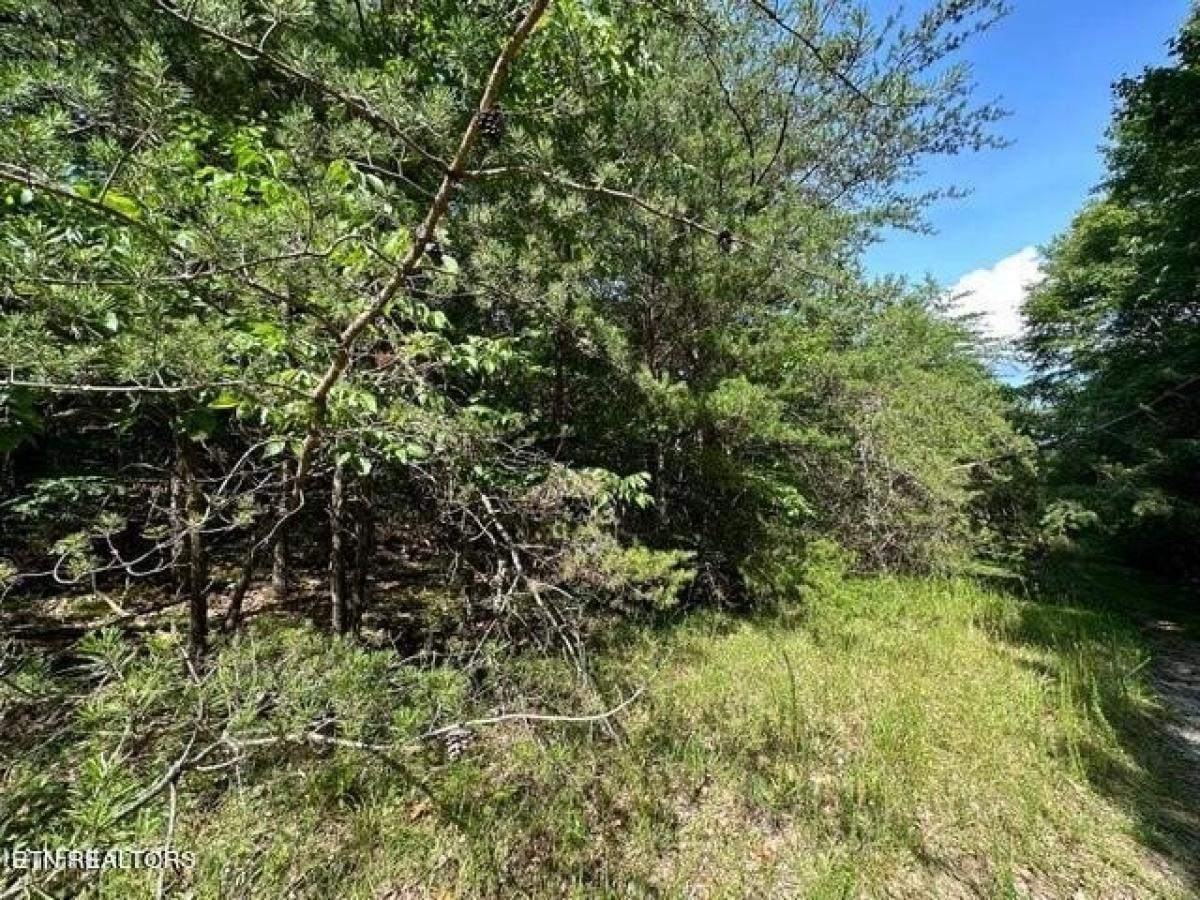 Picture of Residential Land For Rent in Crossville, Tennessee, United States