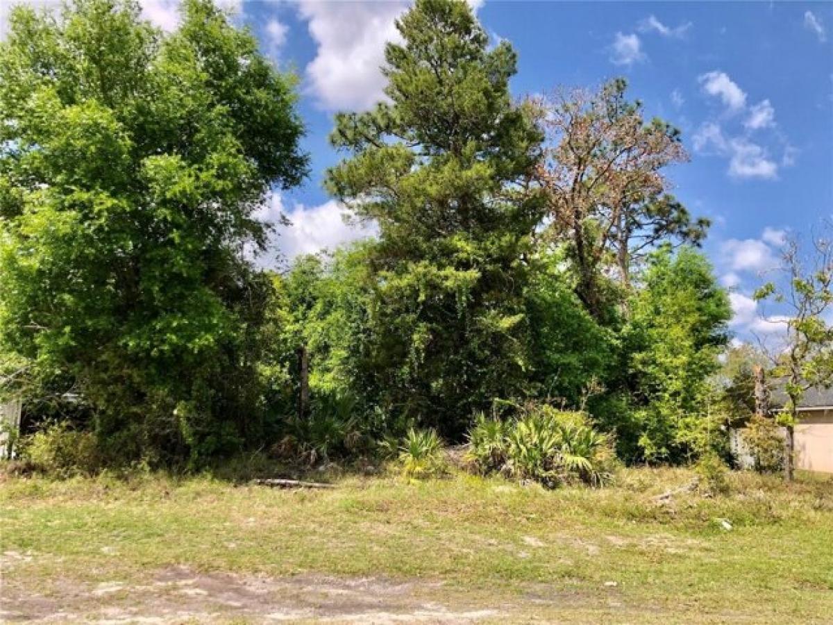 Picture of Residential Land For Sale in Deltona, Florida, United States