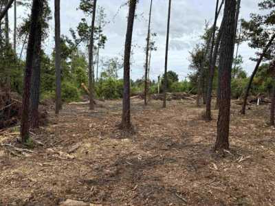 Residential Land For Sale in Marianna, Florida