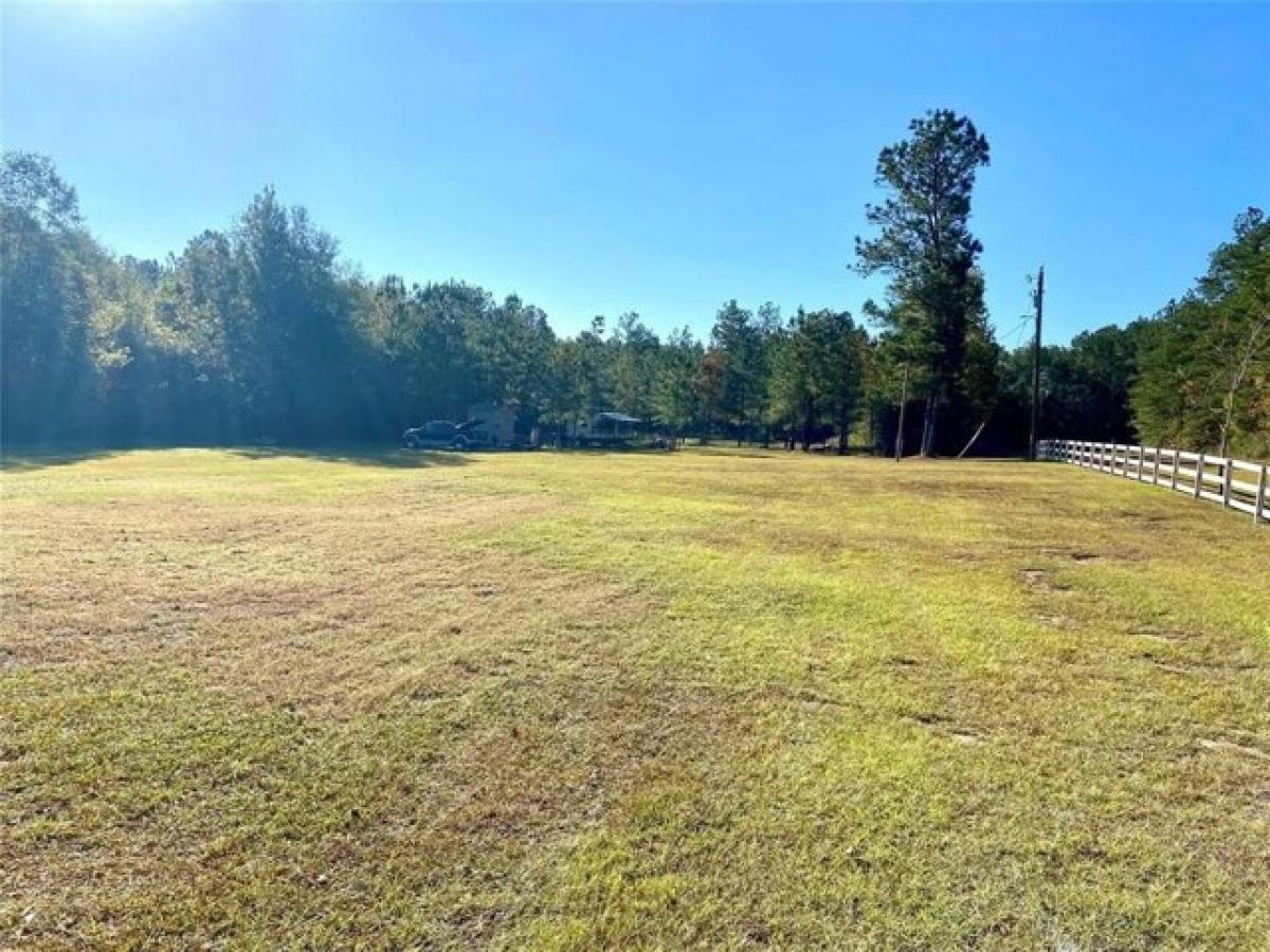 Picture of Residential Land For Sale in Chester, Texas, United States