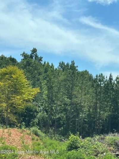 Residential Land For Sale in Jacksons Gap, Alabama