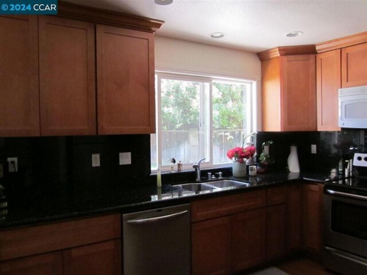 Picture of Home For Rent in Concord, California, United States