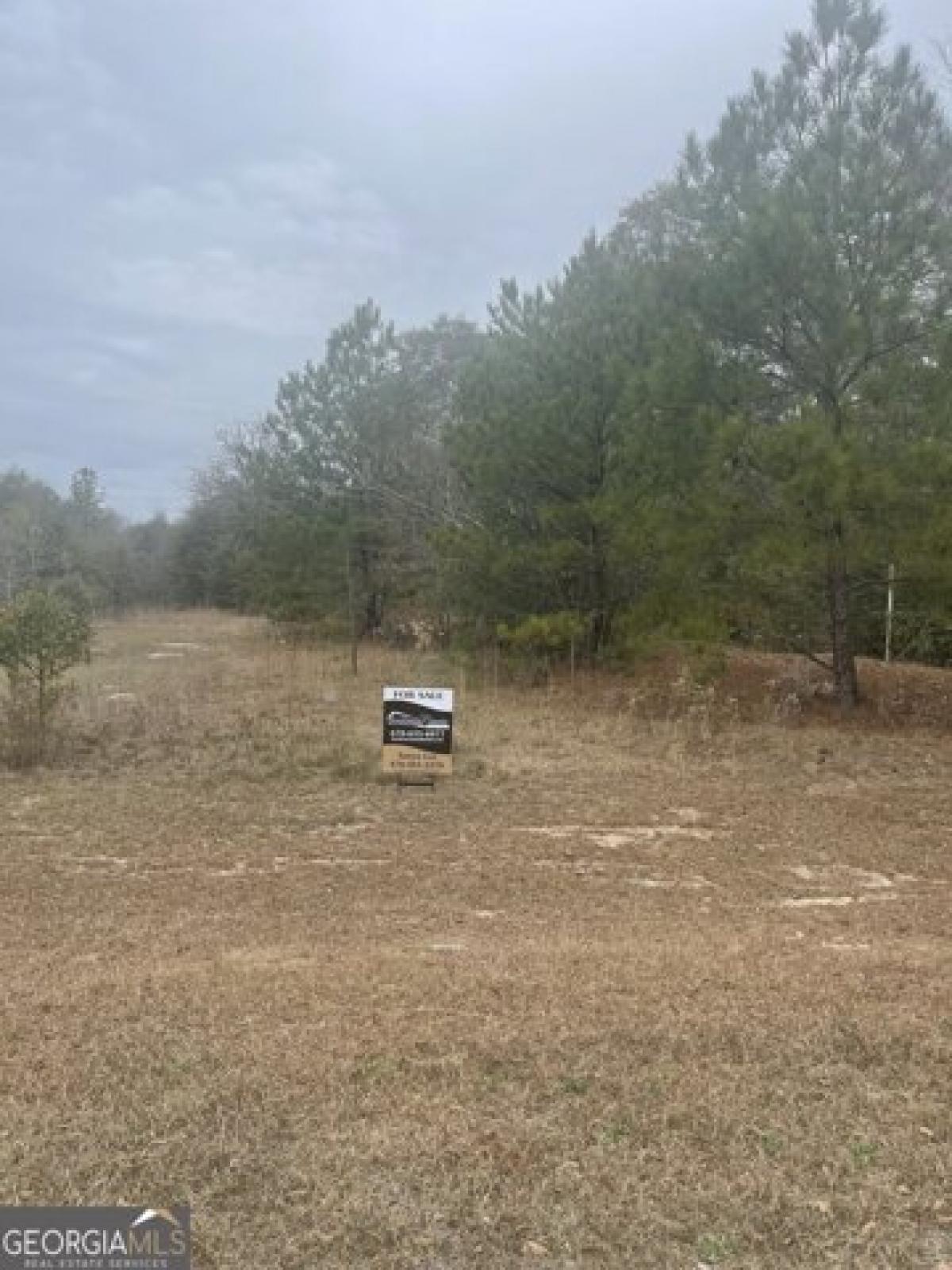 Picture of Residential Land For Sale in Macon, Georgia, United States