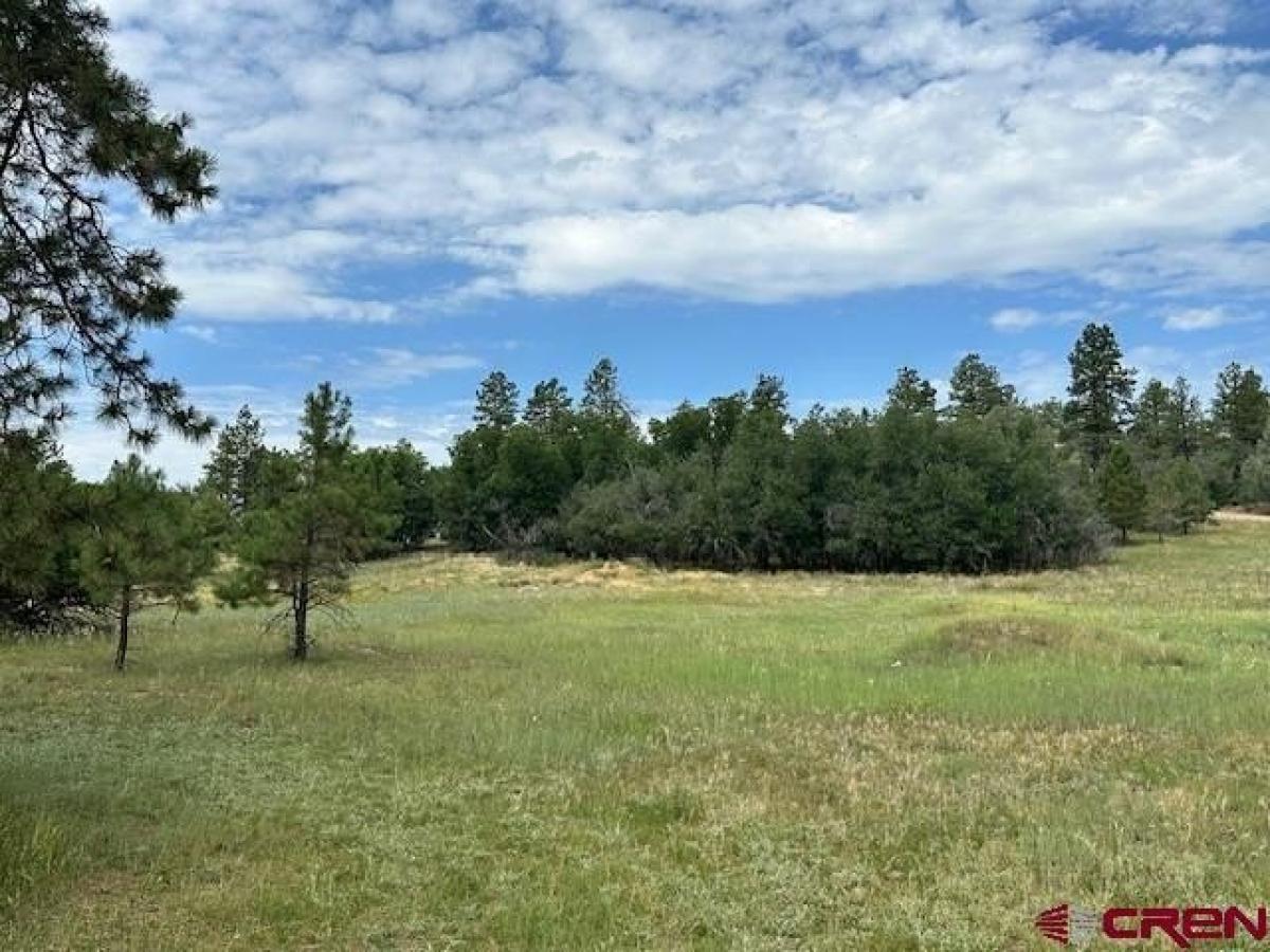 Picture of Residential Land For Sale in Pagosa Springs, Colorado, United States