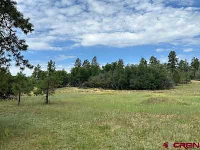 Residential Land For Sale in Pagosa Springs, Colorado