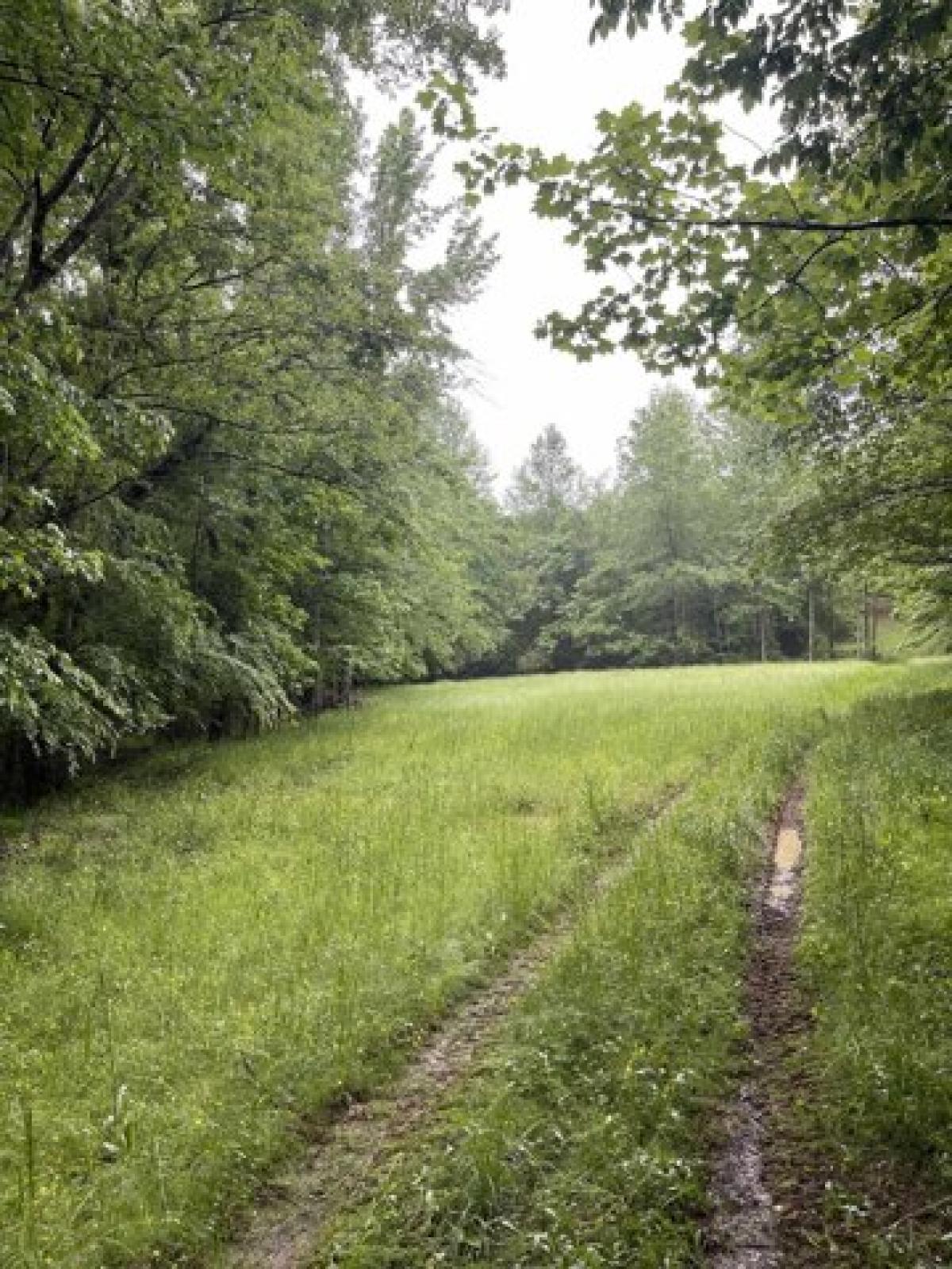 Picture of Residential Land For Sale in Vina, Alabama, United States