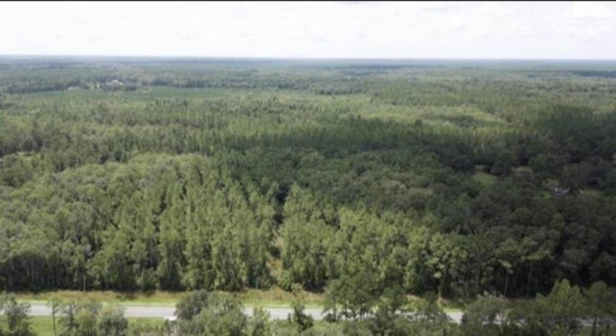 Picture of Residential Land For Sale in Monticello, Florida, United States