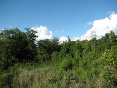 Residential Land For Sale in 