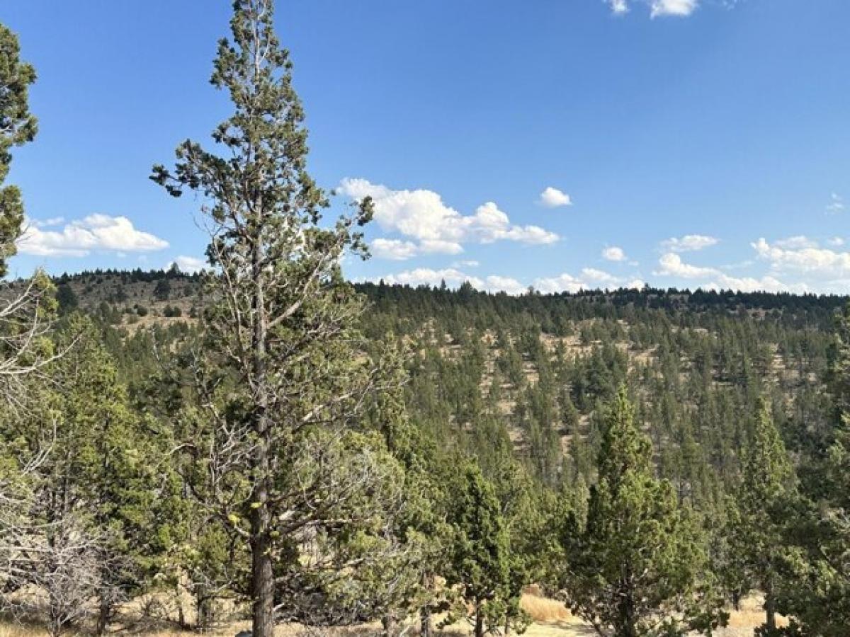 Picture of Residential Land For Sale in Prineville, Oregon, United States