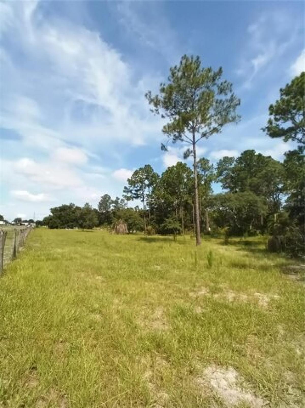 Picture of Residential Land For Sale in Deland, Florida, United States