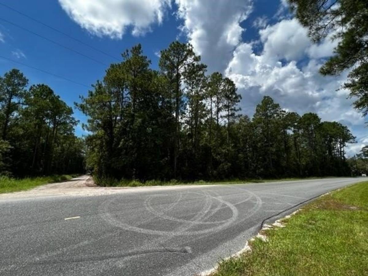 Picture of Residential Land For Sale in Sopchoppy, Florida, United States