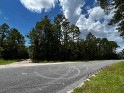 Residential Land For Sale in Sopchoppy, Florida