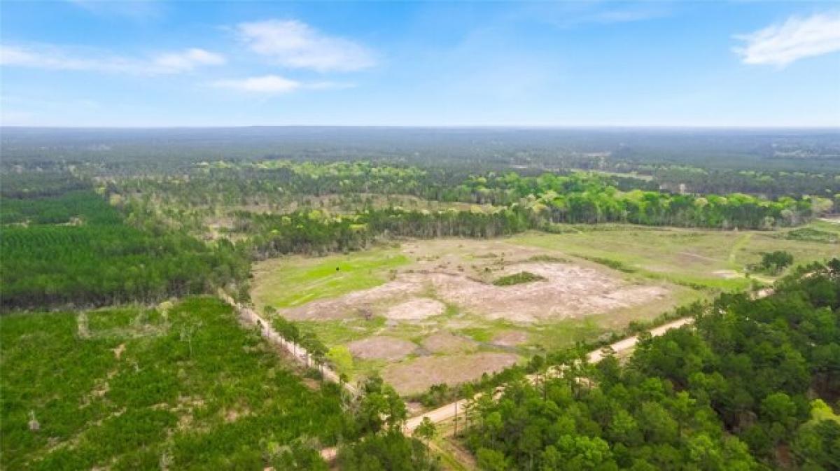 Picture of Residential Land For Sale in Groveton, Texas, United States