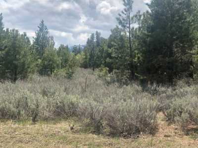 Residential Land For Sale in McCall, Idaho