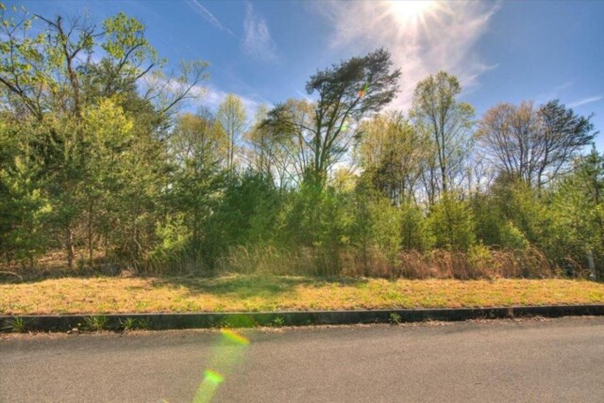 Picture of Residential Land For Sale in Mount Carmel, Tennessee, United States