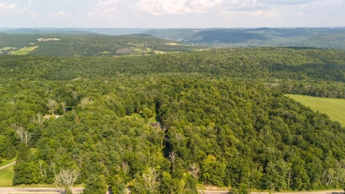 Picture of Home For Sale in Spencer, New York, United States