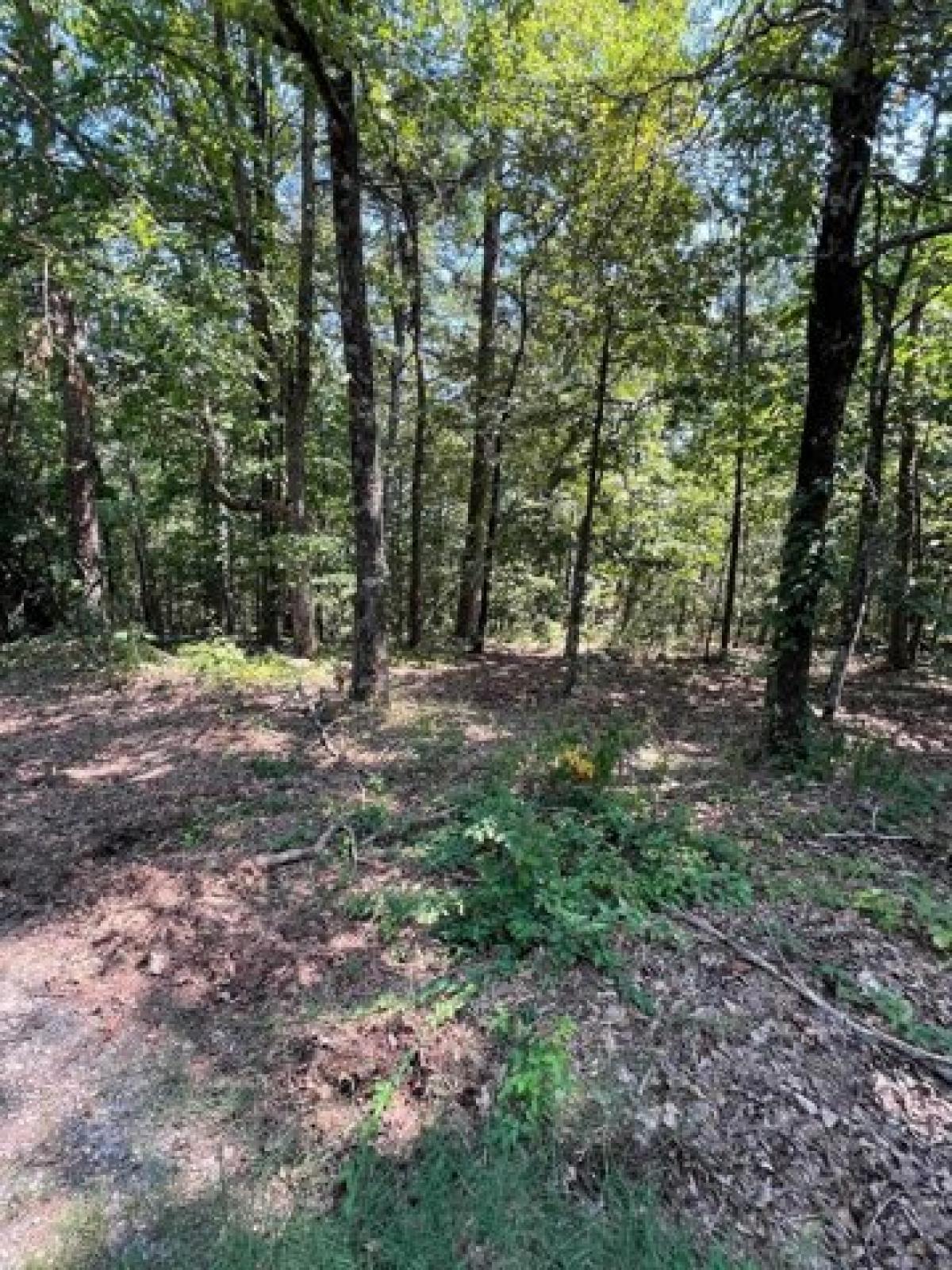 Picture of Residential Land For Sale in Hot Springs Village, Arkansas, United States