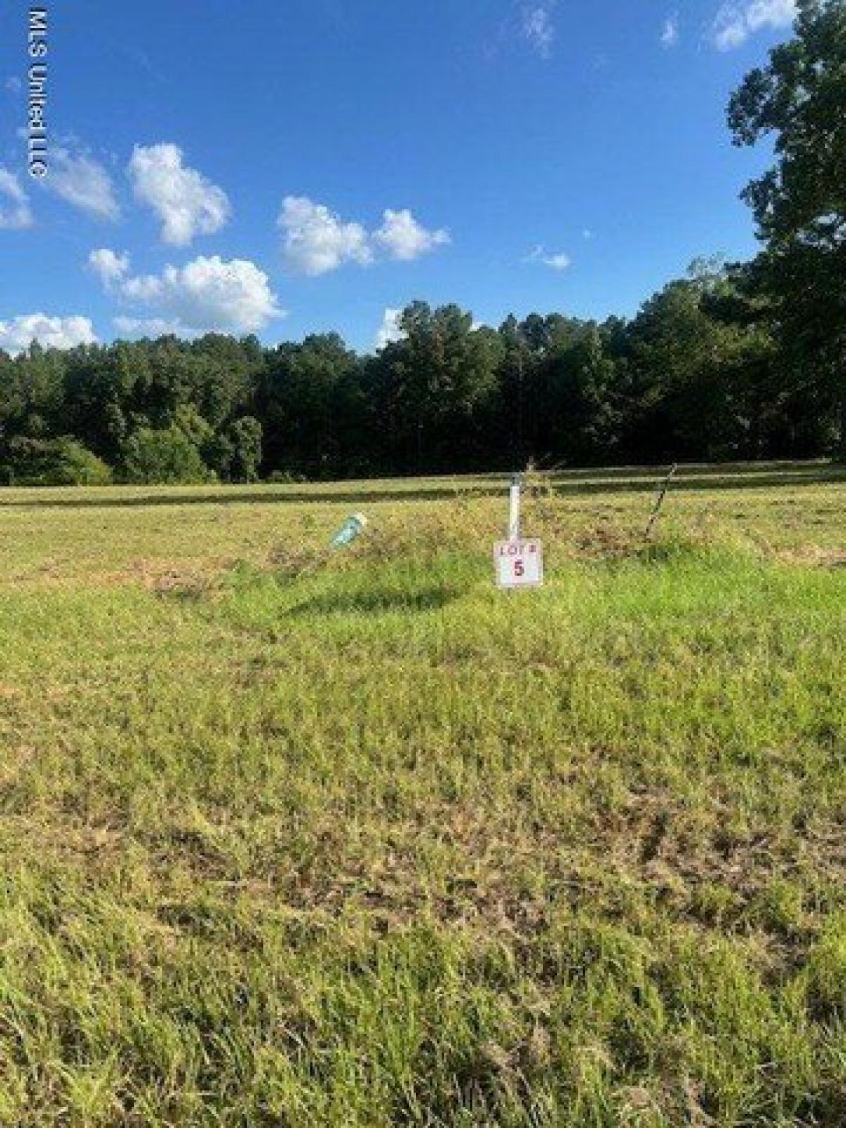 Picture of Residential Land For Sale in Brandon, Mississippi, United States