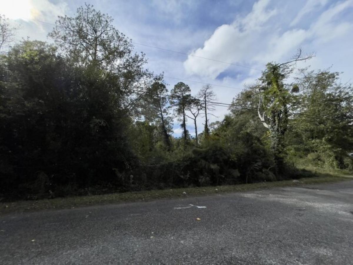 Picture of Residential Land For Sale in Walterboro, South Carolina, United States