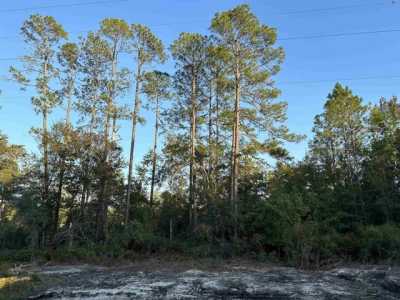 Residential Land For Sale in Sopchoppy, Florida