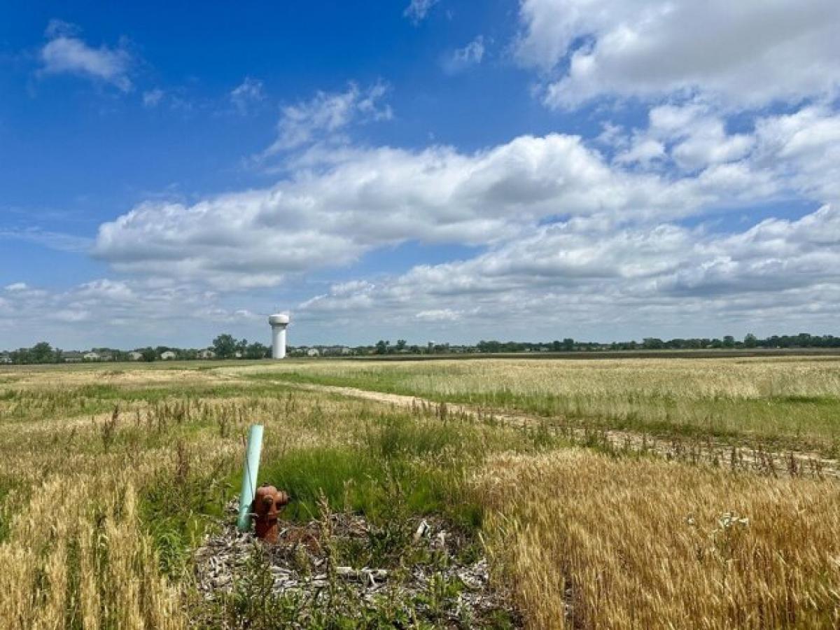 Picture of Residential Land For Sale in Lynwood, Illinois, United States