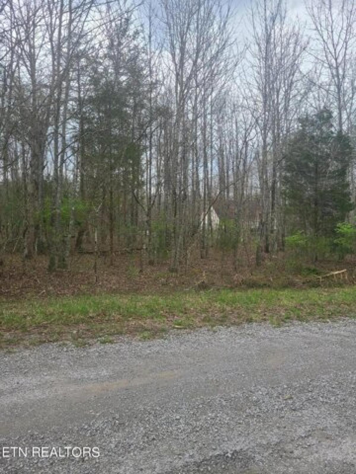 Picture of Residential Land For Rent in Crossville, Tennessee, United States