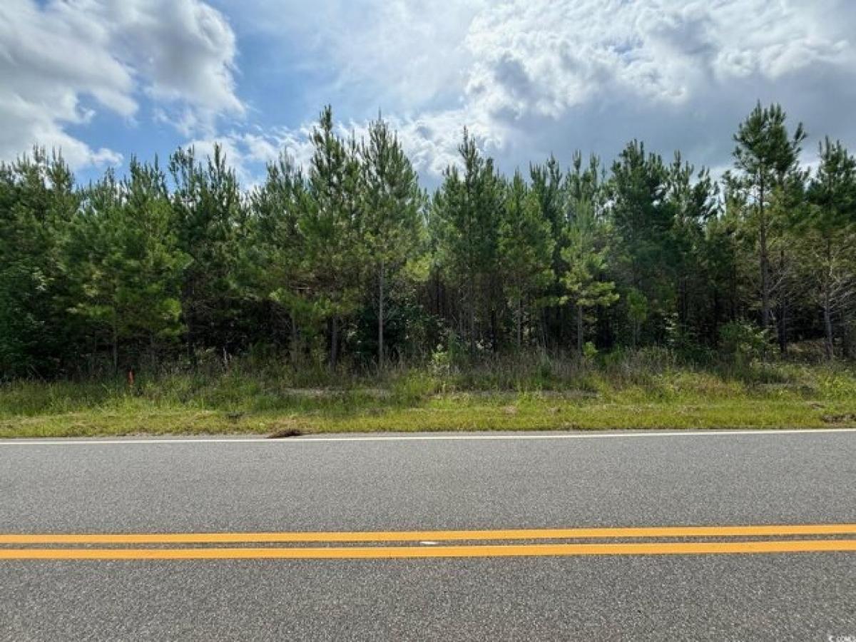 Picture of Residential Land For Sale in Loris, South Carolina, United States