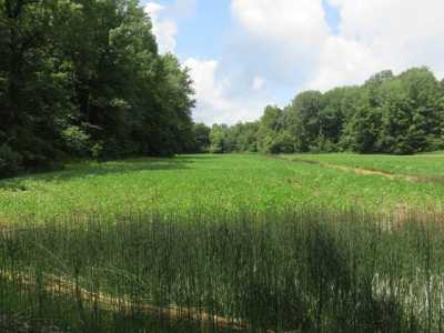 Residential Land For Sale in Villa Ridge, Illinois