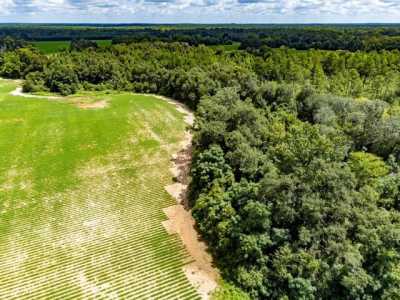 Residential Land For Sale in Cottonwood, Alabama