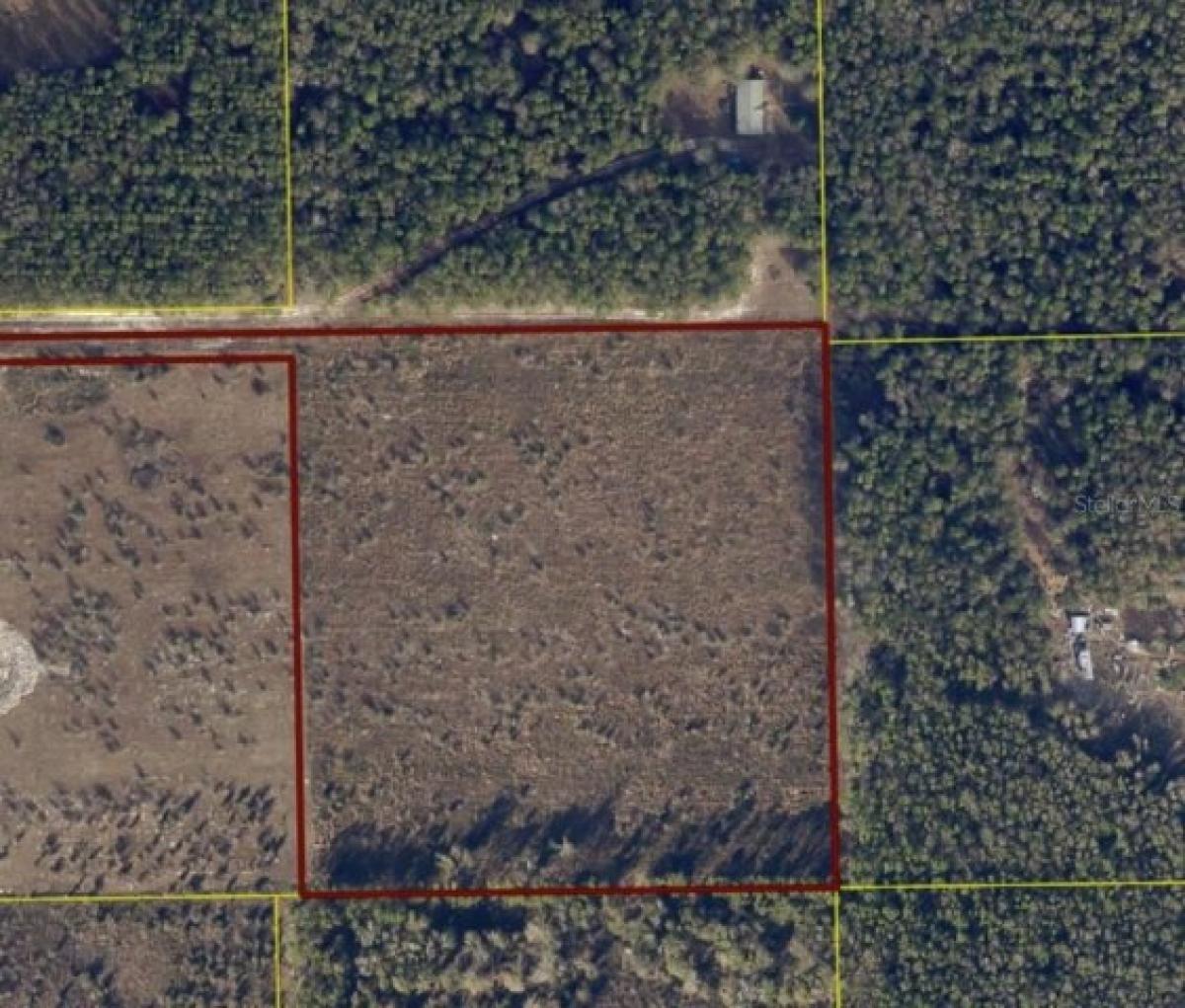 Picture of Residential Land For Sale in Live Oak, Florida, United States