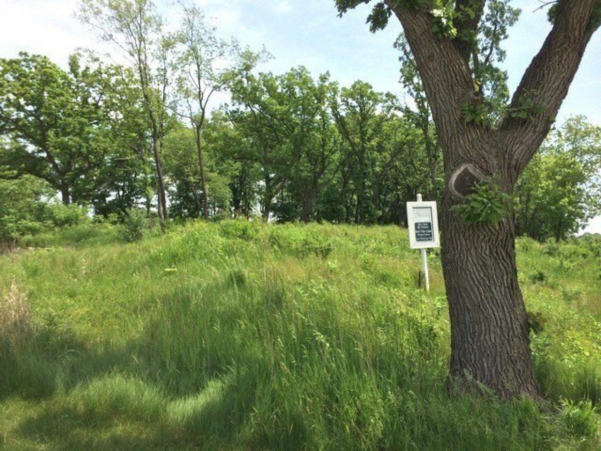 Picture of Residential Land For Sale in Bull Valley, Illinois, United States