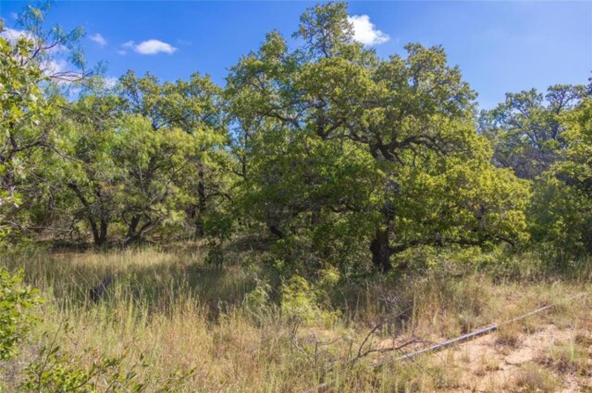 Picture of Residential Land For Sale in Cisco, Texas, United States