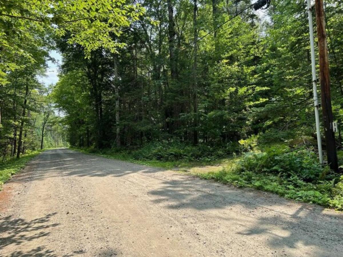 Picture of Residential Land For Sale in Londonderry, Vermont, United States