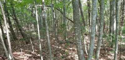 Residential Land For Sale in Henry, Virginia