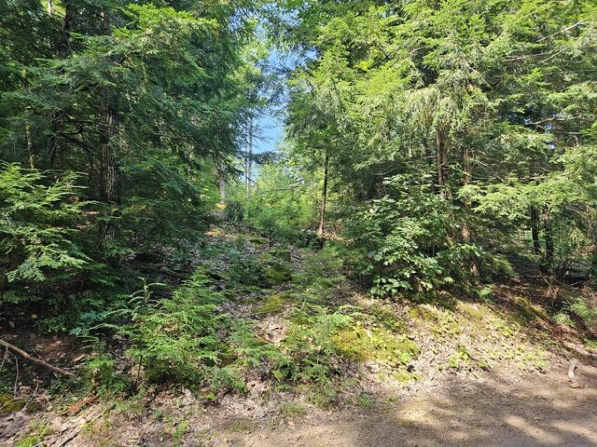 Picture of Residential Land For Sale in Acton, Maine, United States