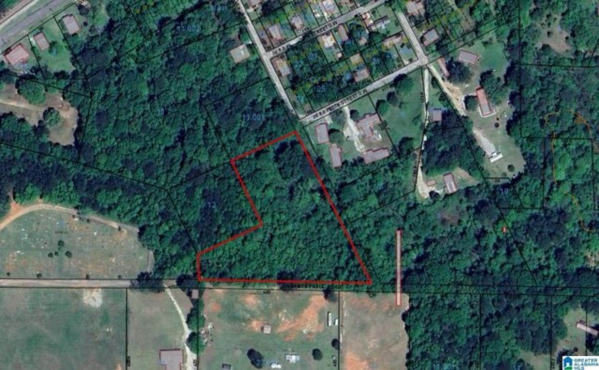 Picture of Residential Land For Sale in Lanett, Alabama, United States